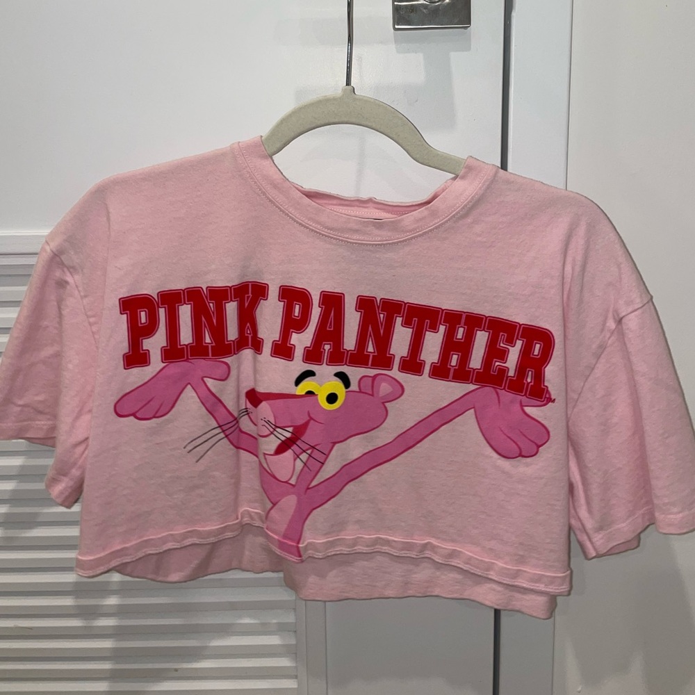 Zara Pink Crop Top